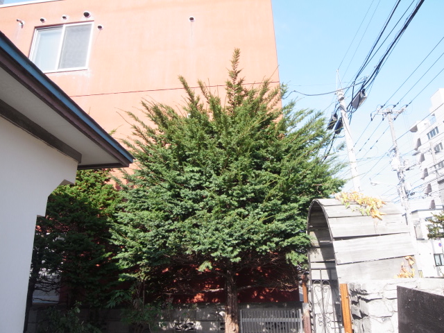 b0188724_12142065.jpg