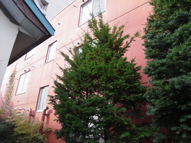 b0188724_1215310.jpg