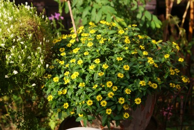 f0170524_2261446.jpg