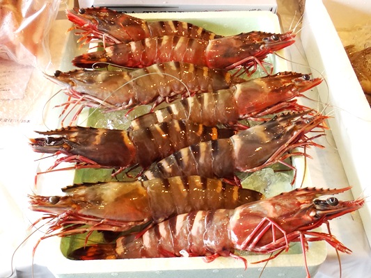 美味しいのか 不味いのか それが問題なのですが 加古川水産 のさかな情報