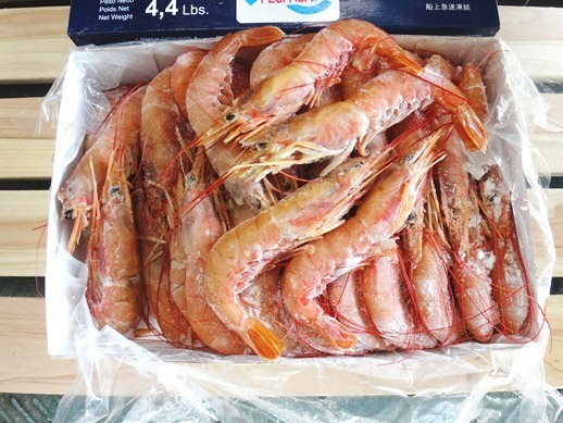 美味しいのか 不味いのか それが問題なのですが 加古川水産 のさかな情報