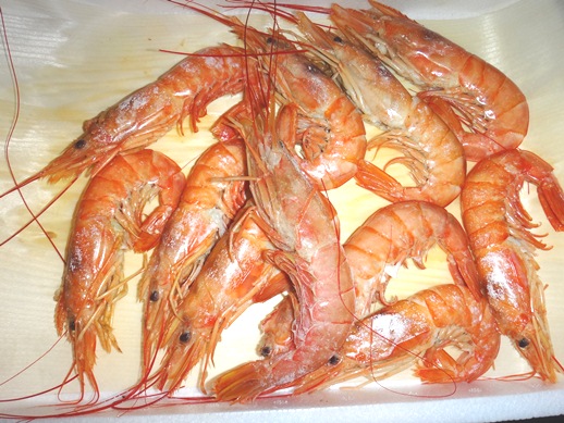 美味しいのか 不味いのか それが問題なのですが 加古川水産 のさかな情報