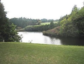 f0213825_1125114.jpg
