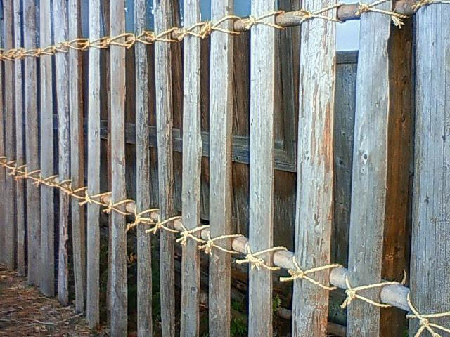 f0085327_1946459.jpg
