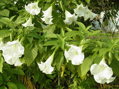 f0206939_2239269.jpg