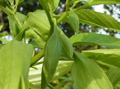 f0206939_22421179.jpg
