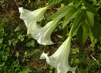 f0206939_2243661.jpg