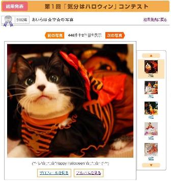 Yahoo!ペット第1回「気分はハロウィン」フォトコンテスト第1位第2位猫。_a0143140_23253985.jpg