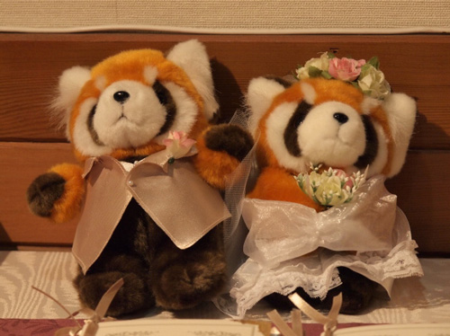 Happy Lesser Panda Wedding ♪_a0149740_4474794.jpg