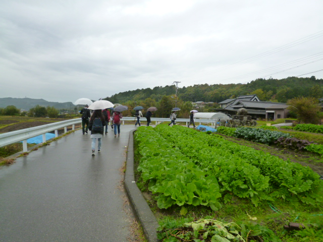 裏六甲　里山ハイキング_a0194942_216312.jpg