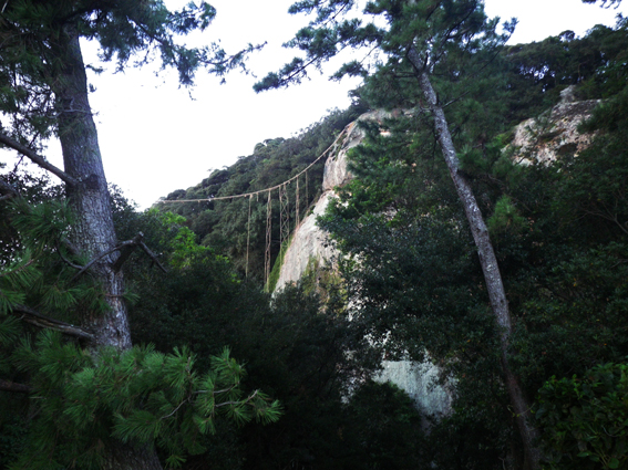 f0161647_0251983.jpg
