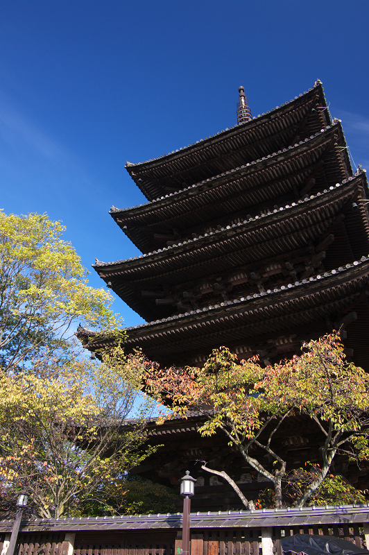 秋の始まり（法観寺・安井金比羅宮・庚申堂）_f0155048_073369.jpg