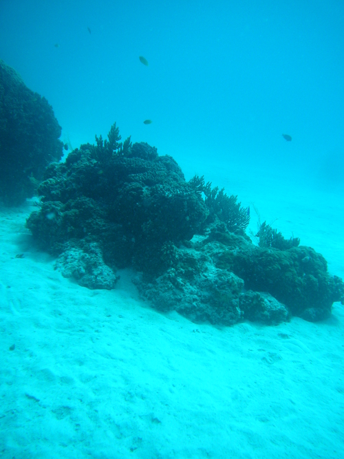 b0223953_01678.jpg