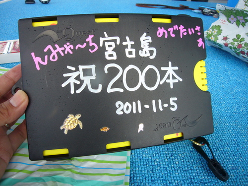 b0223953_07724.jpg