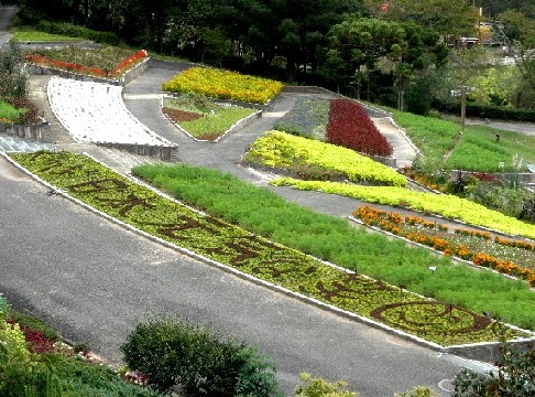 　　和歌山県植物公園緑花センター　_b0093754_23314751.jpg