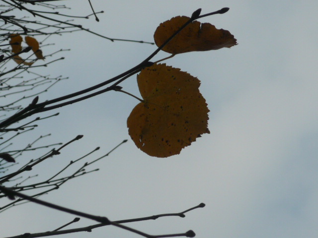 b0109054_6183850.jpg