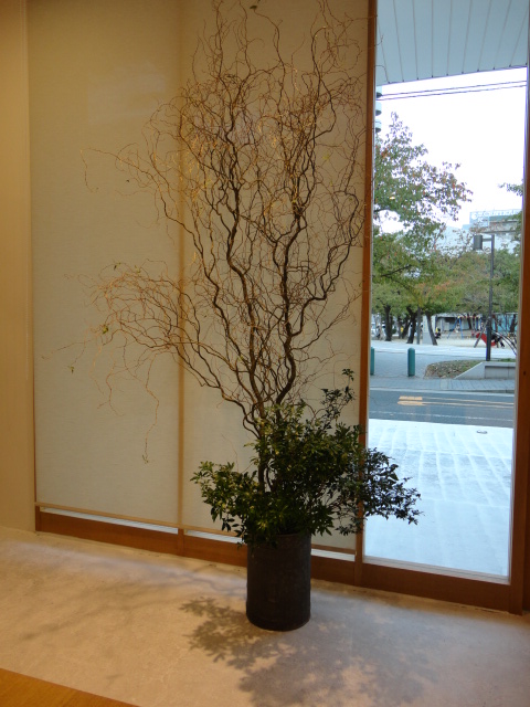 RINEN_d0162257_23574047.jpg