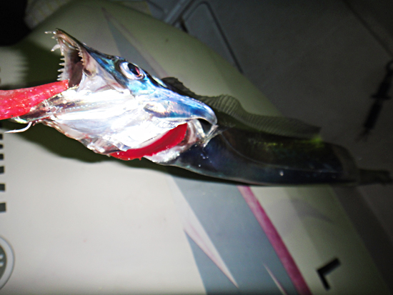 e0247157_1121775.jpg