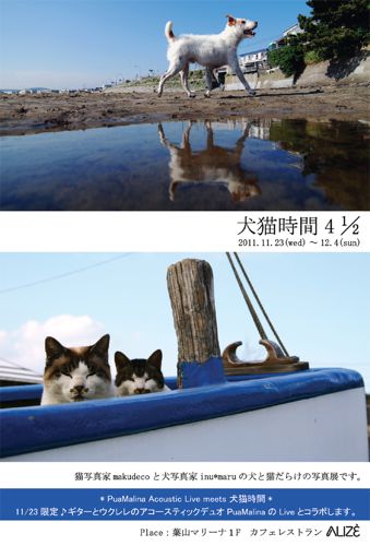 犬猫時間 4 1/2_e0190258_15113850.jpg