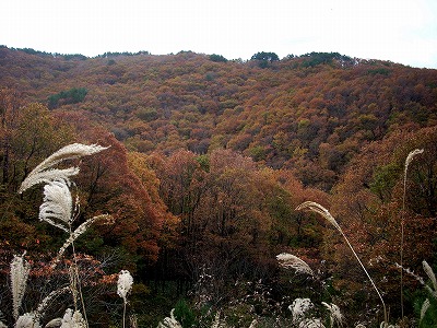 c0153173_20174156.jpg