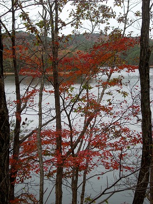 c0153173_2018467.jpg