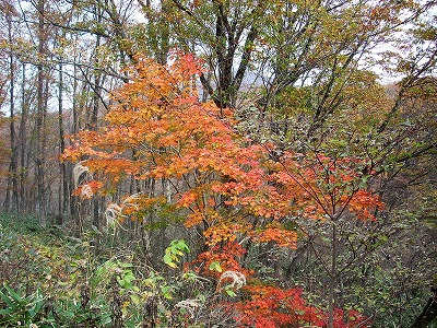 c0153173_20191983.jpg
