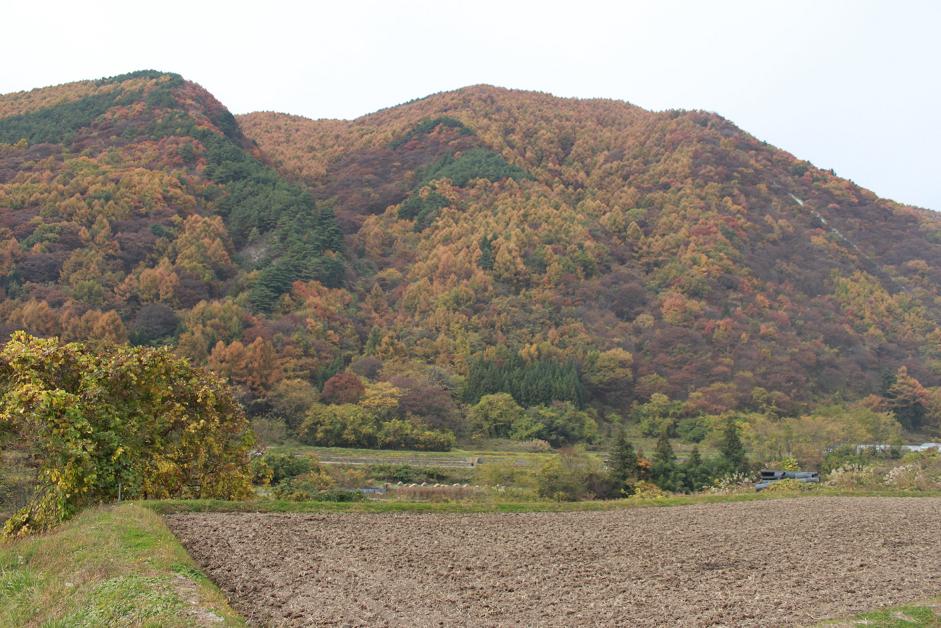 b0207376_18525790.jpg