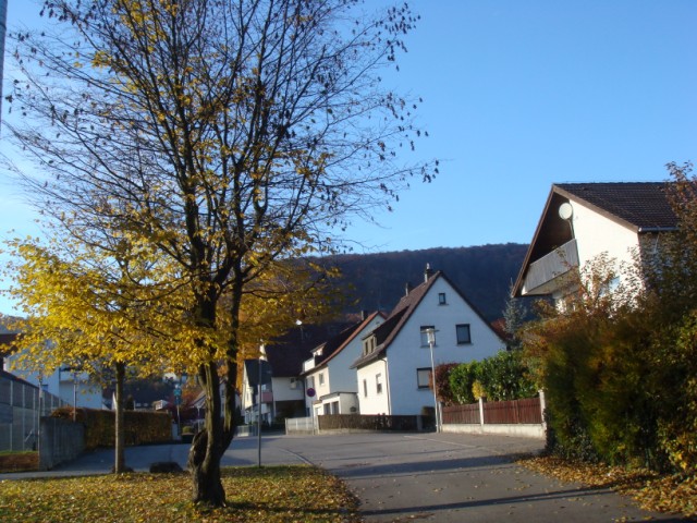 d0116376_18322633.jpg