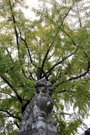 e0112077_7445755.jpg