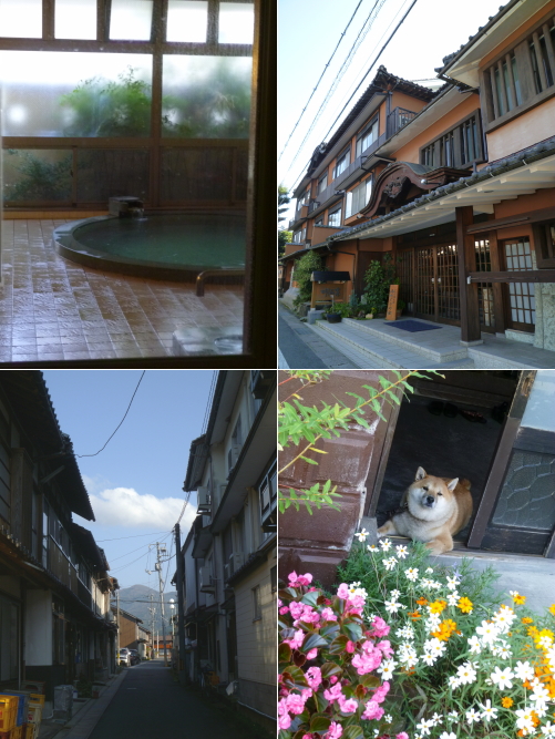 d0179983_17385517.jpg