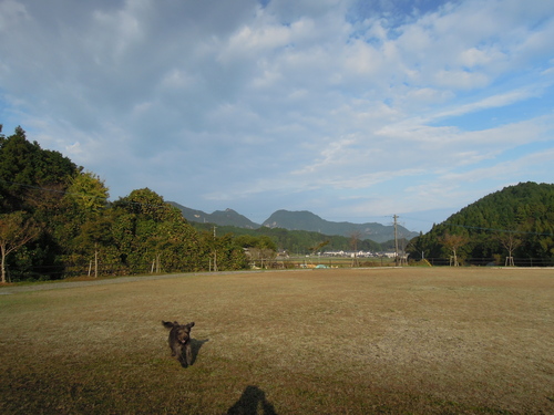 素焼きの窯積め。_d0195183_338825.jpg