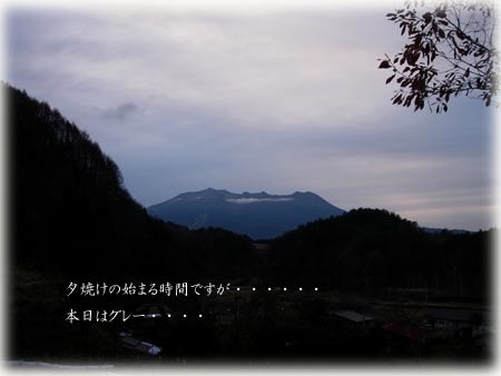 a0130586_21155370.jpg