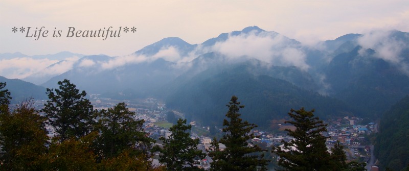 c0156789_20335283.jpg
