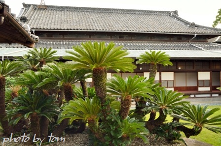 西海の旅～福岡「水郷　柳川」(４)御花松濤園_b0155692_20433396.jpg