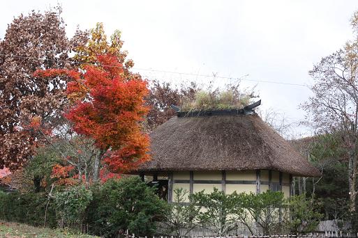 東北応援ツアー_d0145794_10404925.jpg