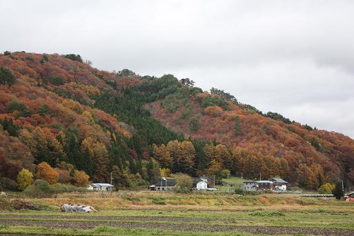 東北応援ツアー_d0145794_1041524.jpg