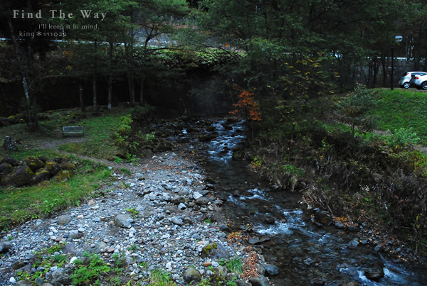 【wanこ】高山オフ 2011 vol.5 〜 高山わんわんパラダイス_f0054594_17543647.jpg