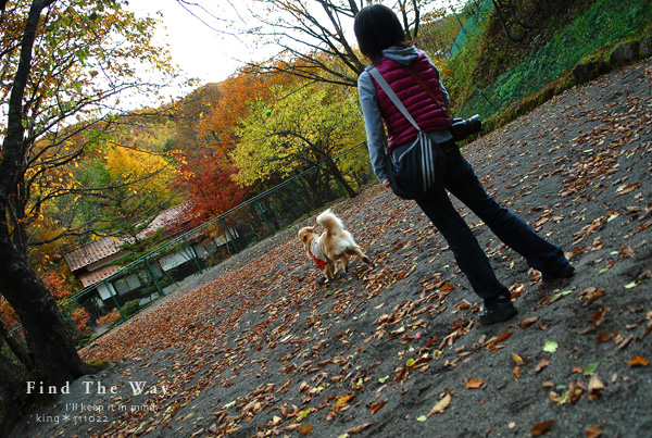 【wanこ】高山オフ 2011 vol.5 〜 高山わんわんパラダイス_f0054594_17571742.jpg