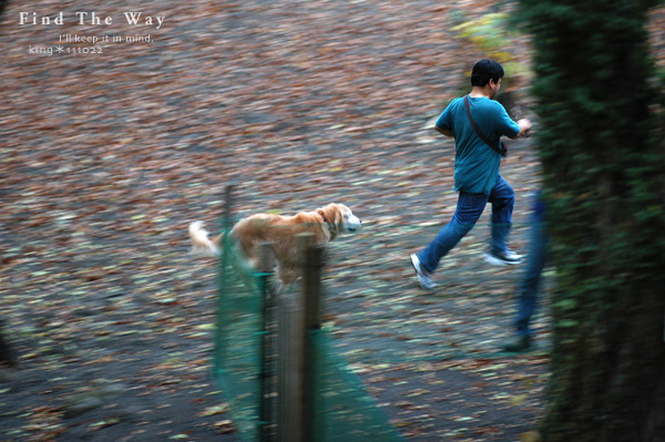 【wanこ】高山オフ 2011 vol.5 〜 高山わんわんパラダイス_f0054594_1759444.jpg