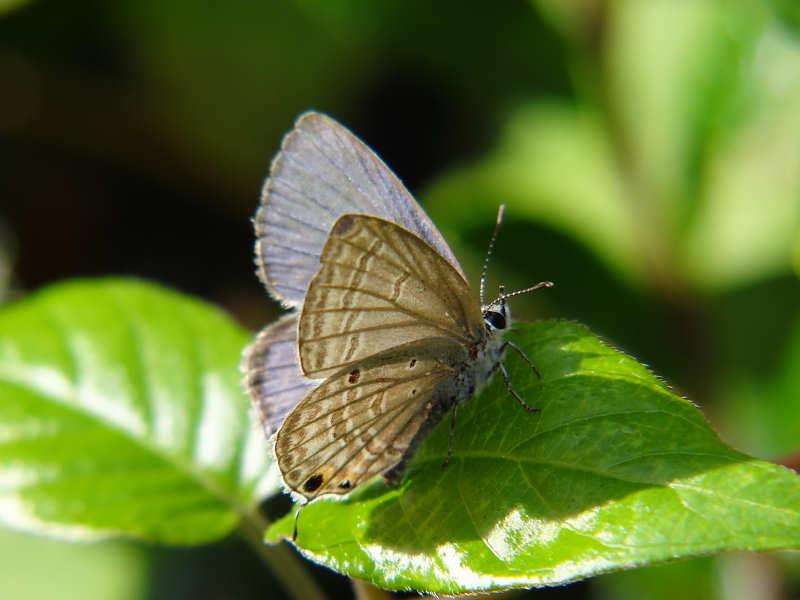 f0204094_2041292.jpg