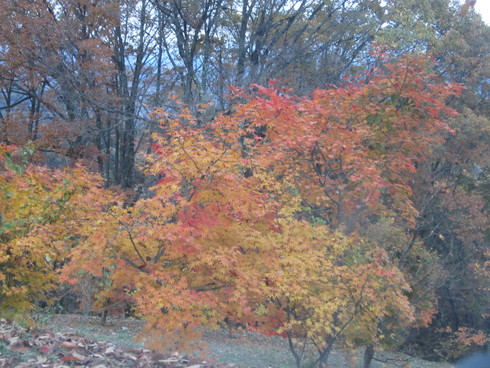 c0099395_16281380.jpg