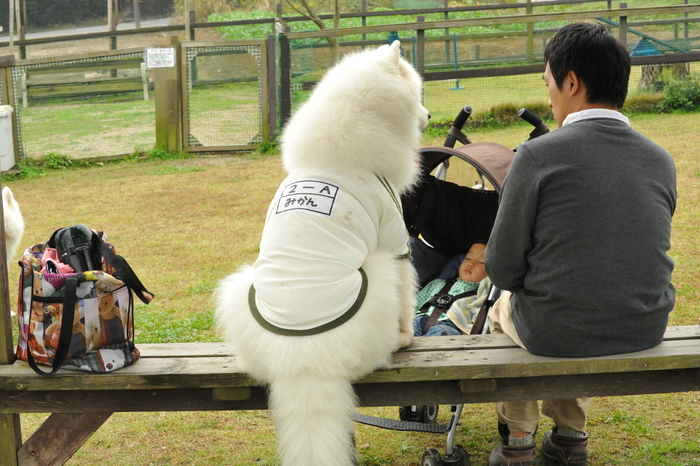 第6回 中部オフのご報告！ part4_a0049296_18112068.jpg