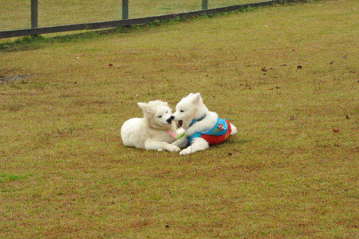 第6回 中部オフのご報告！ part4_a0049296_1815117.jpg