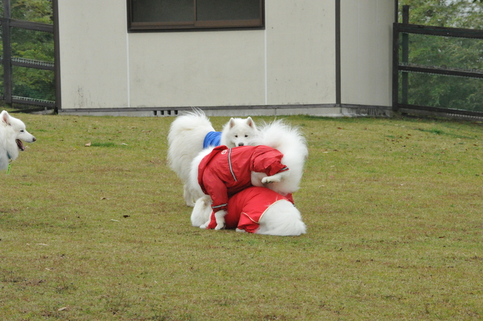 第6回 中部オフのご報告！ part4_a0049296_1852656.jpg