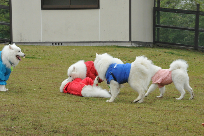 第6回 中部オフのご報告！ part4_a0049296_1854712.jpg
