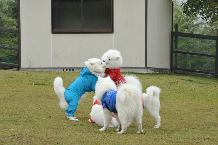 第6回 中部オフのご報告！ part4_a0049296_186812.jpg