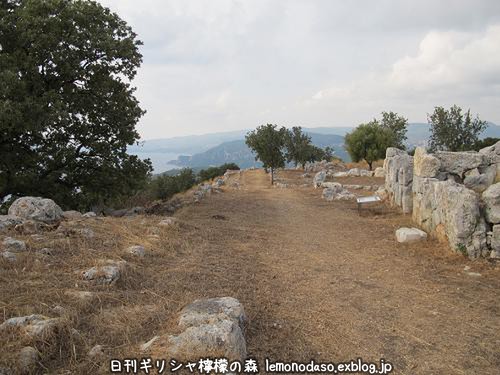 c0010496_671343.jpg