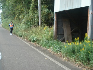 c0187298_23294754.jpg