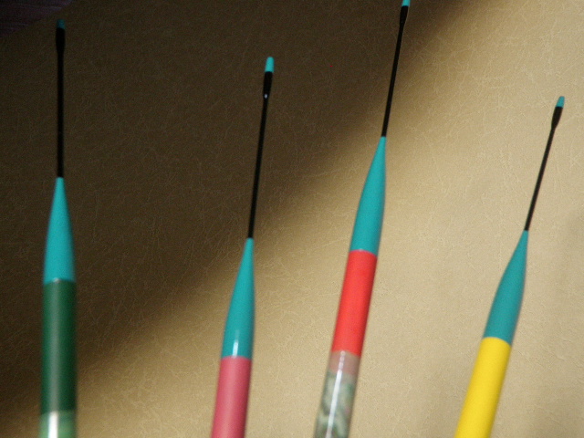 a0129999_12542387.jpg