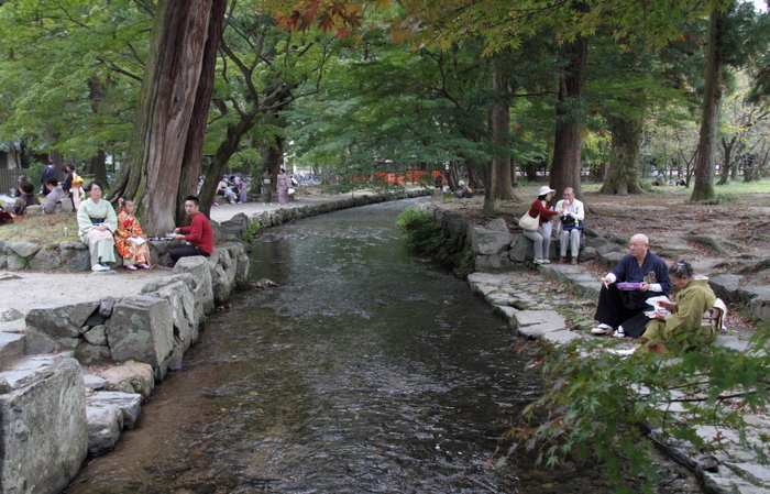 上賀茂神社　　着物で集う園遊会_a0046000_113446.jpg